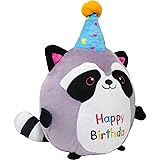 CAIYUEGG Raccoon Plush Toy 10 Inch Cute Birthday