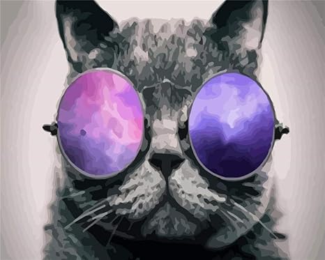 Amazon 大人と子供のための数字でペイント 紫色のメガネの猫 Diyの油絵ブラシでキャンバスを描く数字で描く装飾装飾祭ギフト 16xインチフレーム付き 壁紙