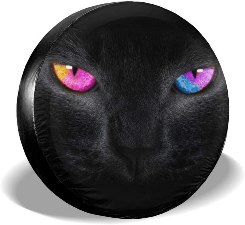 black cat with purple eyes