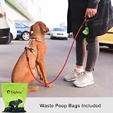 Taglory Rope Dog Lead 1.0 cm, Padded Handle, Reflective, Small Dogs, Red view 2