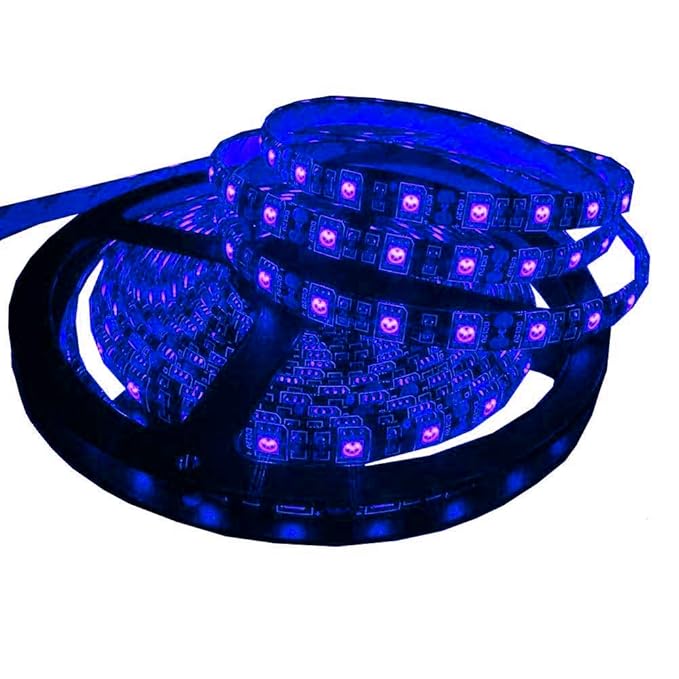 Citra Led Strip 5050 Cove Light Rope Light Ceiling Light Electric Blue 5 metre Driver Included