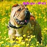 Shar-Pei Calendar - 2015 Wall calendars - Dog Calendars - Monthly Wall Calendar by Magnum