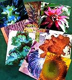 Fantasy Garden Art Notes 1 by 