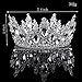 Vintage Rhinestones Crystal Crown for Women Wedding Bridal Tiara Flower Crown Hair Accessories (silver-white)