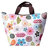 eBoot Waterproof Lunch Bag Tote Insulated Cooler Carry Bag for Travel and Picnic, Colorful Flower