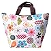 eBoot Waterproof Lunch Bag Tote Insulated Cooler Carry Bag for Travel and Picnic, Colorful Flower