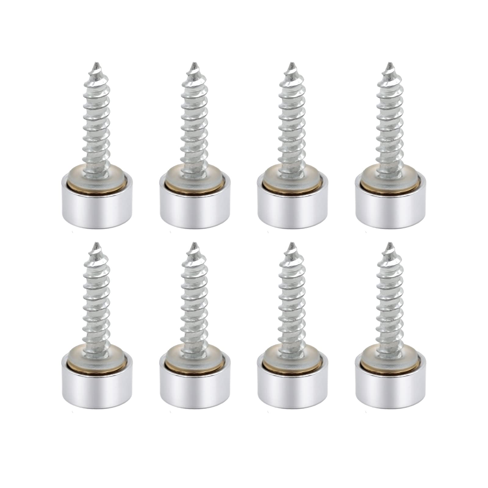 VictorsHome Mirror Screws Decorative Cover Cap Nails Fasteners, Polished Brass Silver, 10mm 8pcs
