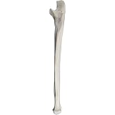 Ulna Bone Model - Left - Anatomically Accurate Human Ulnar Bone Replica - hBARSCI