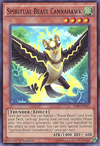 Yu-Gi-Oh! - Spiritual Beast Cannahawk (THSF-EN027) - The Secret Forces - 1st Edition - Super Rare