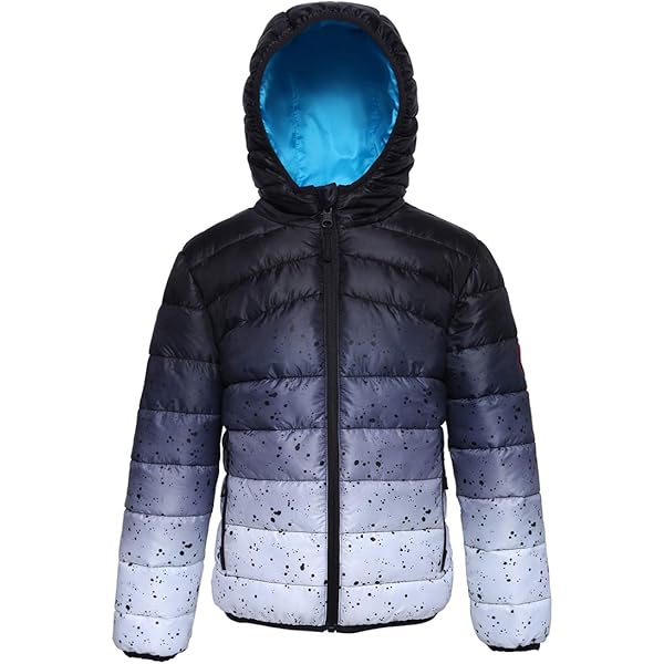 Little Boys 4-7x Denim Trucker Jacket - Light Wash | 's® US