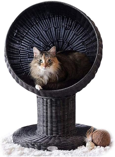 Willow cat bed Clearance