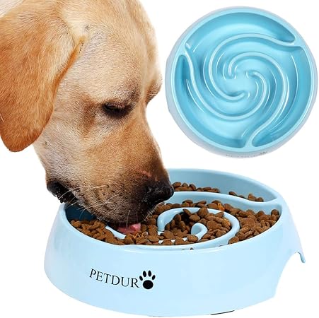 dog food accessories