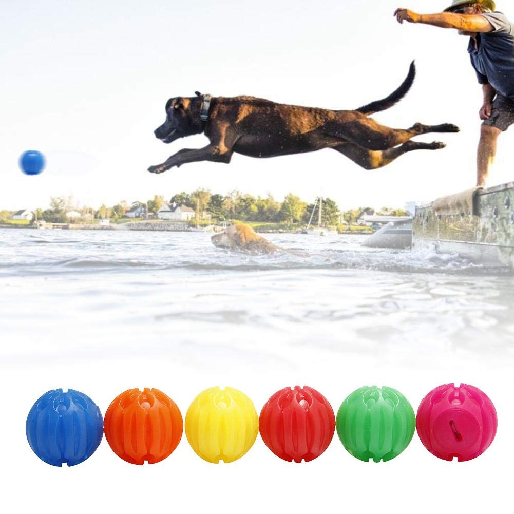 HELLOO HOME - Pelota saltadora para Animales de compañía USB ...