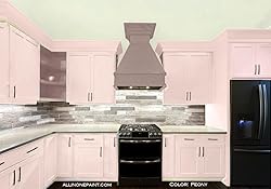ALL-IN-ONE Paint, Durable cabinet and furniture