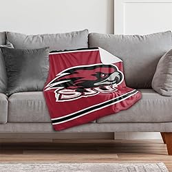 Saint Josephs University Hawks Primary Logo Stripes