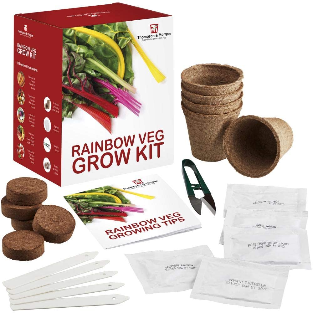 Rainbow Vegetable Seed Growing Kit Gift Box - 5 Vibrant Varieties of Veg to Grow; Carrot, Radish, Beetroot, Chard & Tomato Seeds by Thompson & Morgan