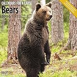 Bears Wall Calendar 2020 by 