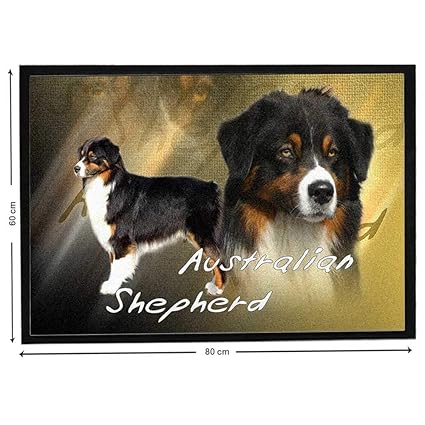 Pets Easy Berger Australien Tricolor Sur Tapis Dentrée De
