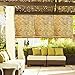 Radiance 0360366 Natural Woven Reed Light Filtering Roll Up Window Blind, 36-Inch Wide by 72-Inch Long