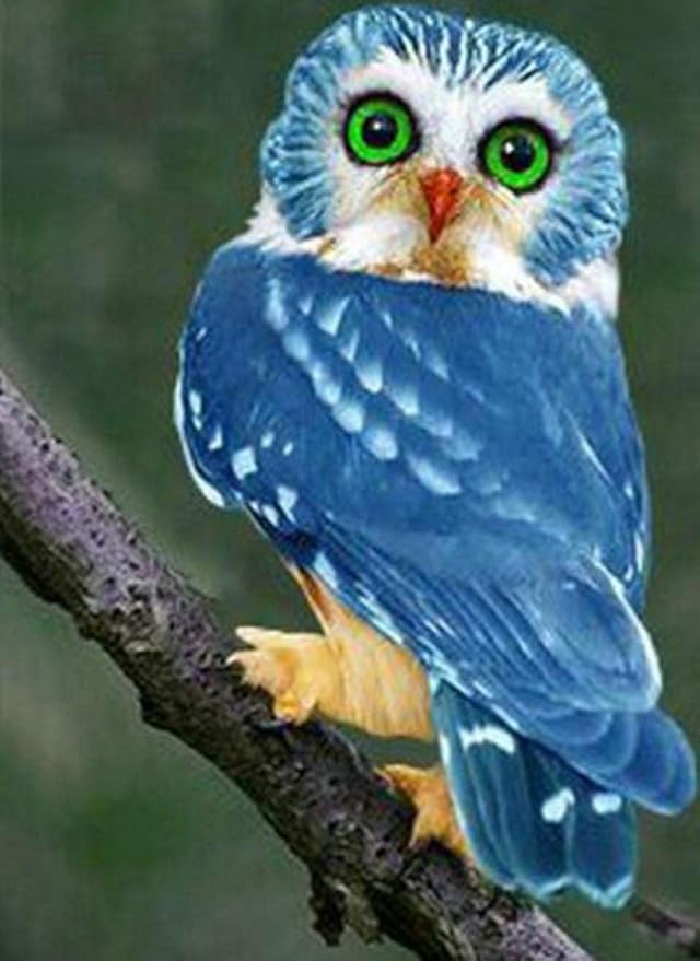 Atatap Malen Nach Zahlen Landschaft Malen Nach Zahlen San