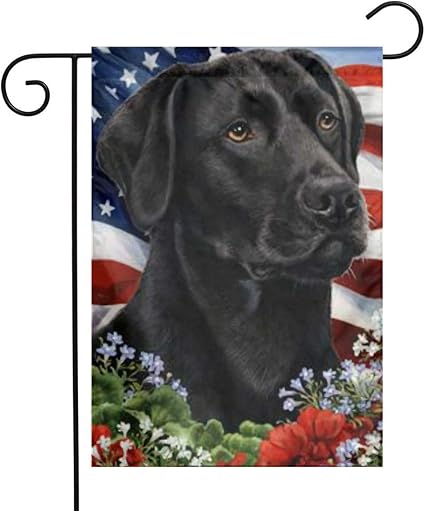 Labrador decorative items Clearance