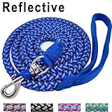 Mycicy 4 ft Reflective Blue Dog Leash, Best Nylon Braided Rope Dog Leashes for Medium Large Dogs(Blue 4ft)