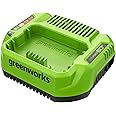 Greenworks Pro 60V 3A Standard Charger