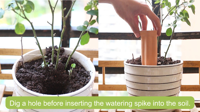 6 Watering+Devices+Terracotta+Vacation+Waterer