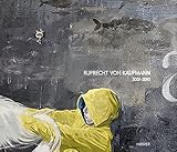 Ruprecht von Kaufmann: 2007-2010