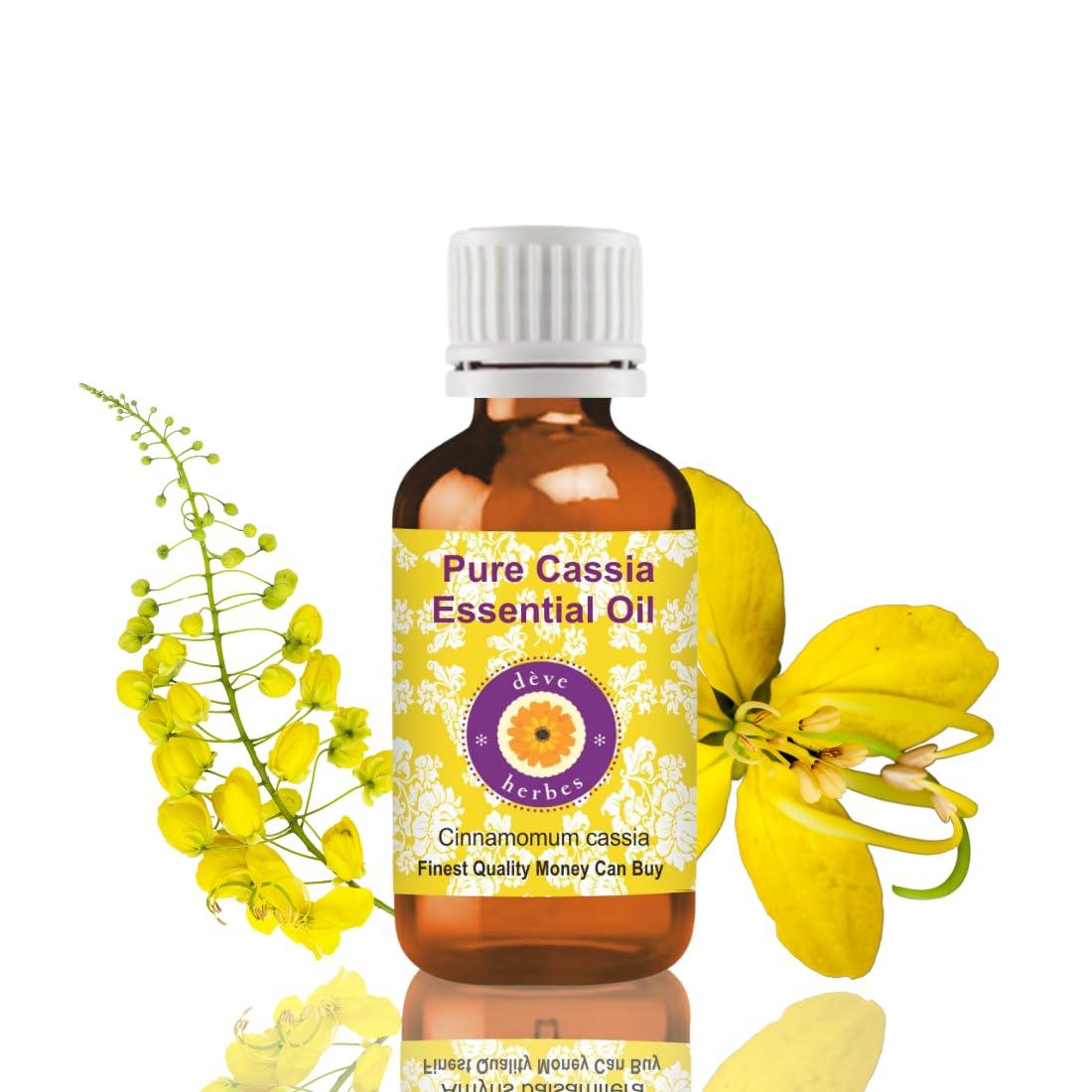 Deve Herbes Pure Cassia Essential Oil (Cinnamomum Cassia) Non-Sticky | Non-Greasy | for Aromatherapy, Massage & DIY Use 30ml