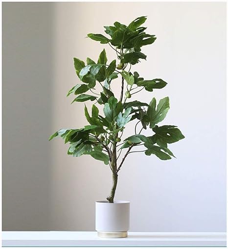 Amazon 人工観葉植物 人工樹木4フィート 屋外屋内用人工シルクツリー ホームオフィスの庭の装飾ギフト用のポットの偽の植物 装飾植物 Color B 人工観葉植物 オンライン通販