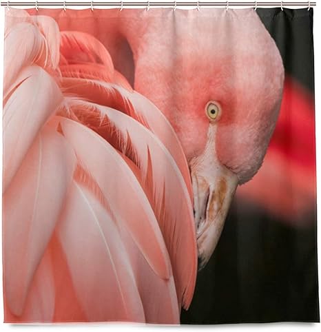Amazon Gooeoo 鳥フラミンゴピンク羽シャワーカーテン3 D印刷防水コーティングポリエステル生地浴室付き12フック71インチ シャワーカーテン ホーム キッチン オンライン通販