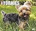 Just Yorkies 2017 Box Calendar (Dog Breed Calendars)
