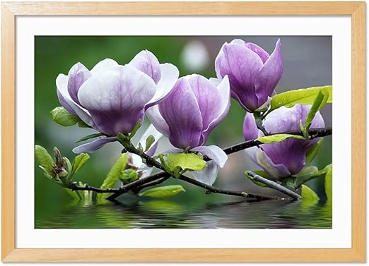 Amazon Com Morado Claro Magnolia Flor Madera Marco De Color