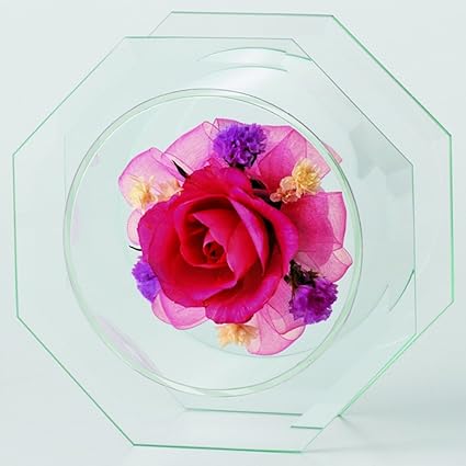 Amazon ボトルフラワー プレゼント ギフト ガラス インテリア ラポール バラ スターチス 花 ピンク系 八角形 ミニサイズ ヴェル フルール プリザーブド ヴェル フルール 造花 通販