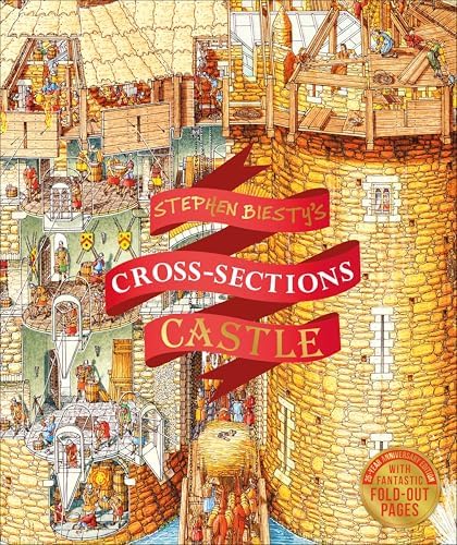 Castle (Challenge): Julia Bruce: 9780749677114: Amazon.com: Books
