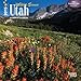 Utah, Wild & Scenic 2015 Mini 7x7 by 