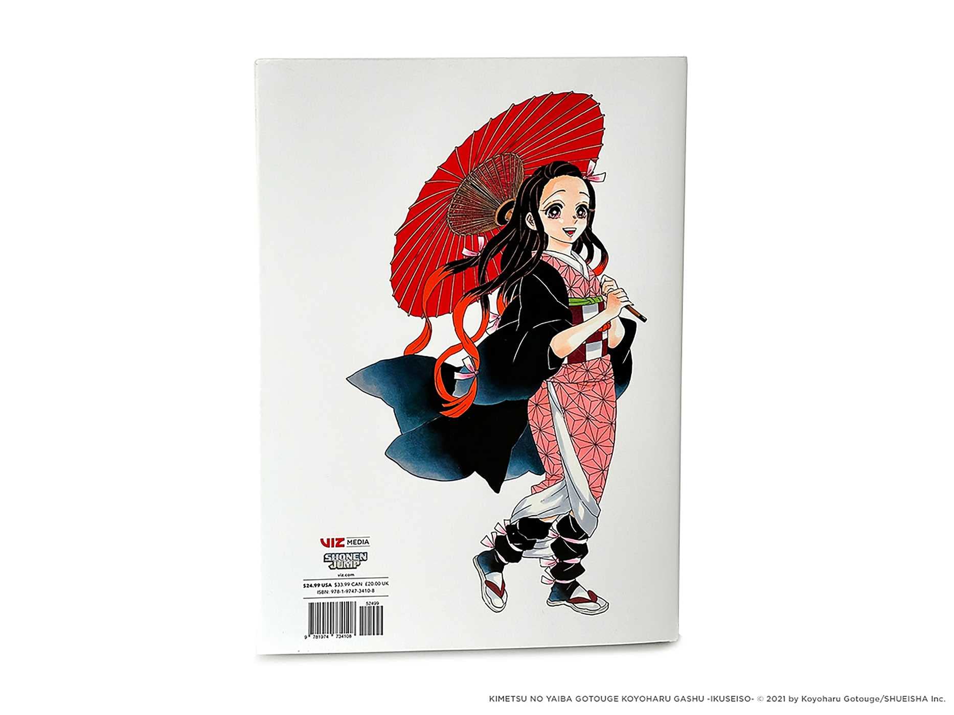 Art of Demon Slayer: Kimetsu no Yaiba
