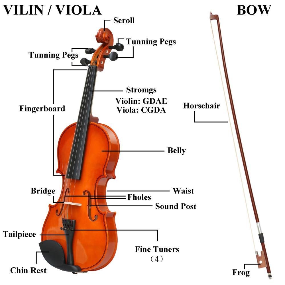 Popamazing New 4/4 Full Size Natural Acoustic Violin Set Antique Wood Violin with Bow&Rosin Cake&Bridge&Strings + Carry Case