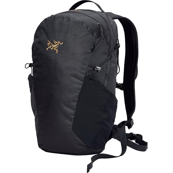 Amazon.com | Arc'teryx Granville 16 Backpack | Versatile