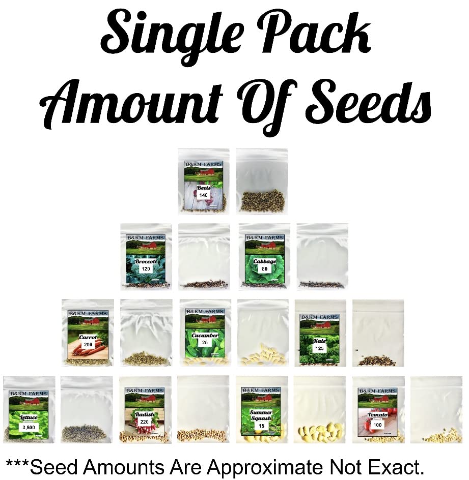 Set of 10 Individual Vegetable Seed Packs Perfect for Planting Your Deluxe Home or Survival