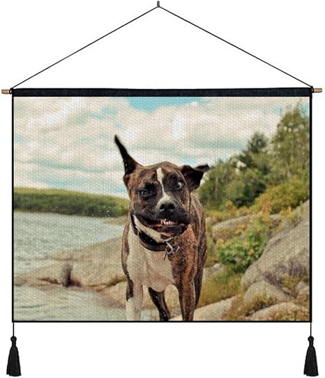Amazon Co Jp 綿の麻 タペストリー 多機能 掛け軸 掛け物 横 80cmx60cm 犬は斑点風怒りを歩く 個性 掛け軸 掛け物 掛けじく ポスター インテリア 組立式 部屋飾り壁 壁飾り ホーム キッチン
