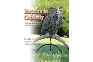 Raptors in Captivity: Guidelines for Care and Management
