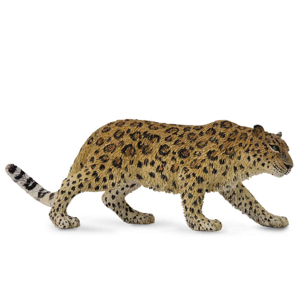 CollectA Amur Leopard