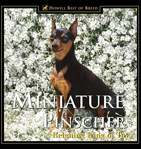 The Miniature Pinscher: Reigning King of Toys
