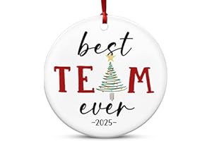 TEEZWONDER Coworker Gifts for Women Friends - Ceramic Christmas Ornaments 2025 for Tree Decorations - Christmas Birthday Gift for Coworkers Friend, White Elephant Gifts for Adults, Friends Ornament