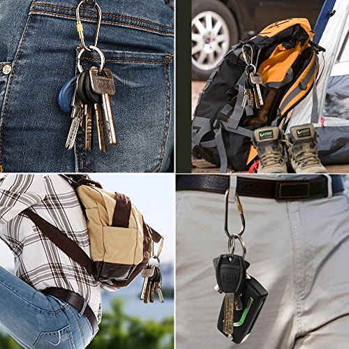 D-FantiX Mini Titanium Carabiner, D-Ring Locking Carabiner Keychain with Key Rings EDC Gear (Pack of 5) - Image 7