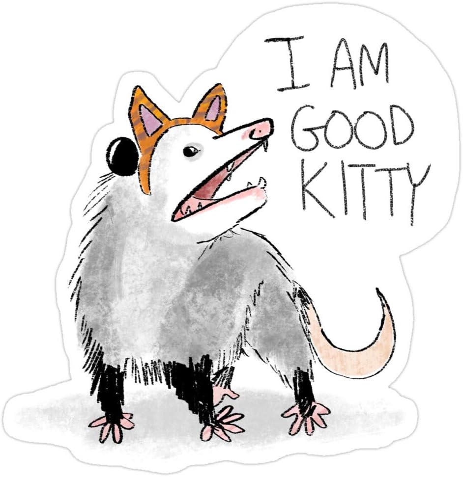 Jess-Sha Store 3 PCs Stickers I AM Good Kitty Design Sticker for Laptop, Phone, Cars, Vinyl Funny Stickers Decal for Laptops, Guitar, Fridge