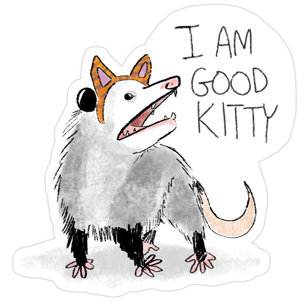 Jess-Sha Store 3 PCs Stickers I AM Good Kitty Design Sticker for Laptop, Phone, Cars, Vinyl Funny Stickers Decal for Laptops, Guitar, Fridge