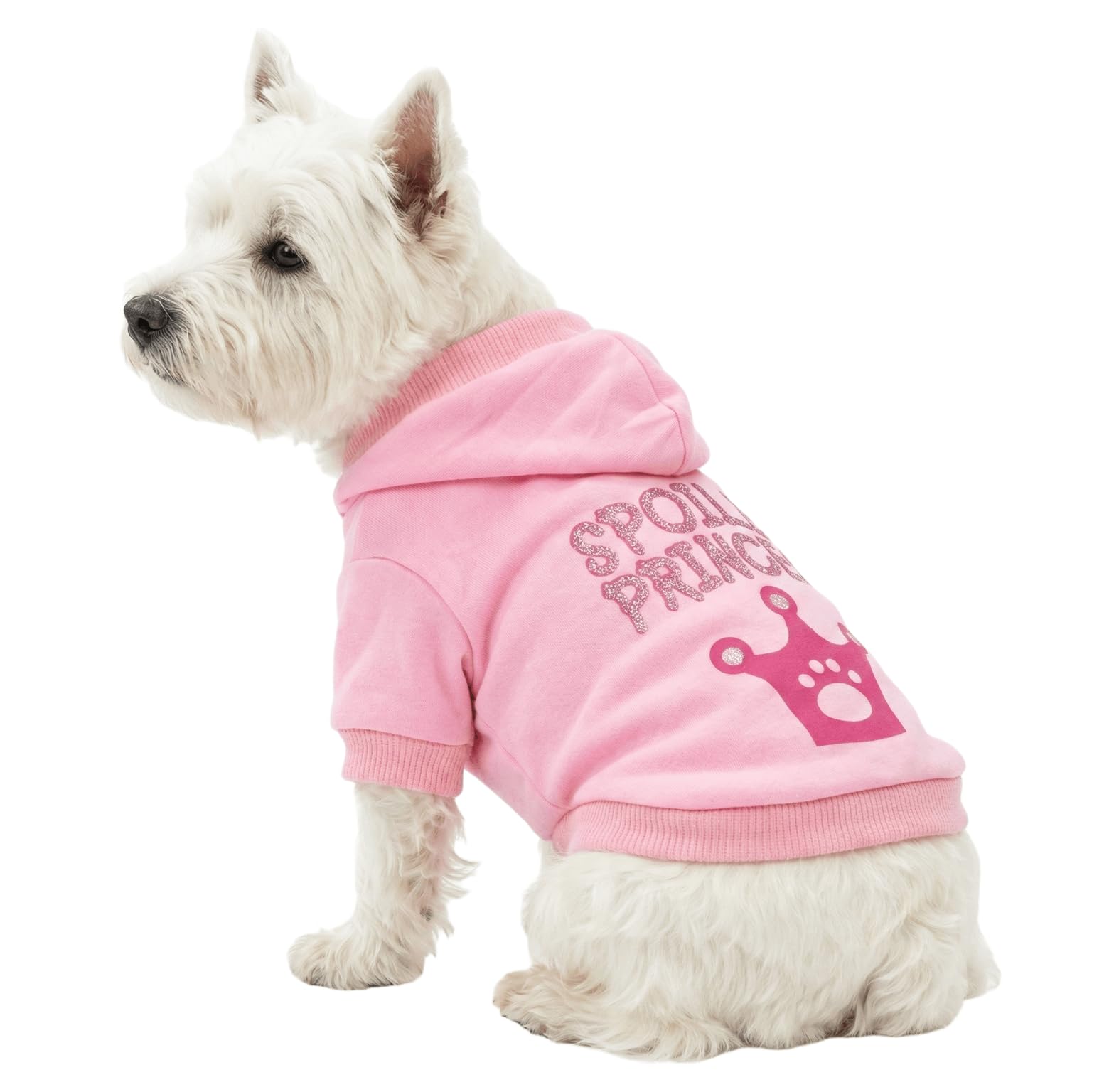DroolingDog Princess Girl Dog Sweatshirts Puppy Hoodie Girls Dog Hoodies Crown Pet Clothes Small Girl Clothes